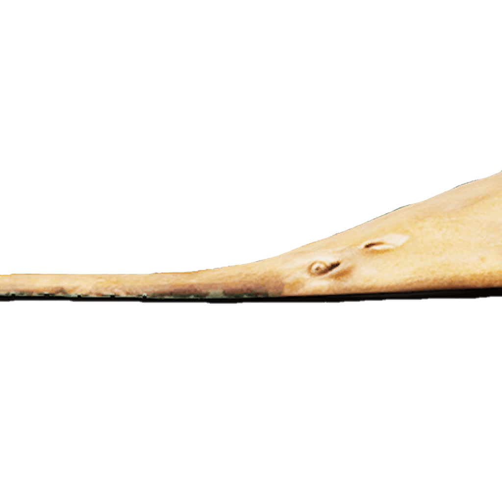 Saw Fish