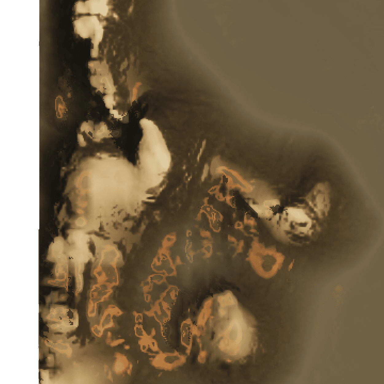 Satellite tile 5-1