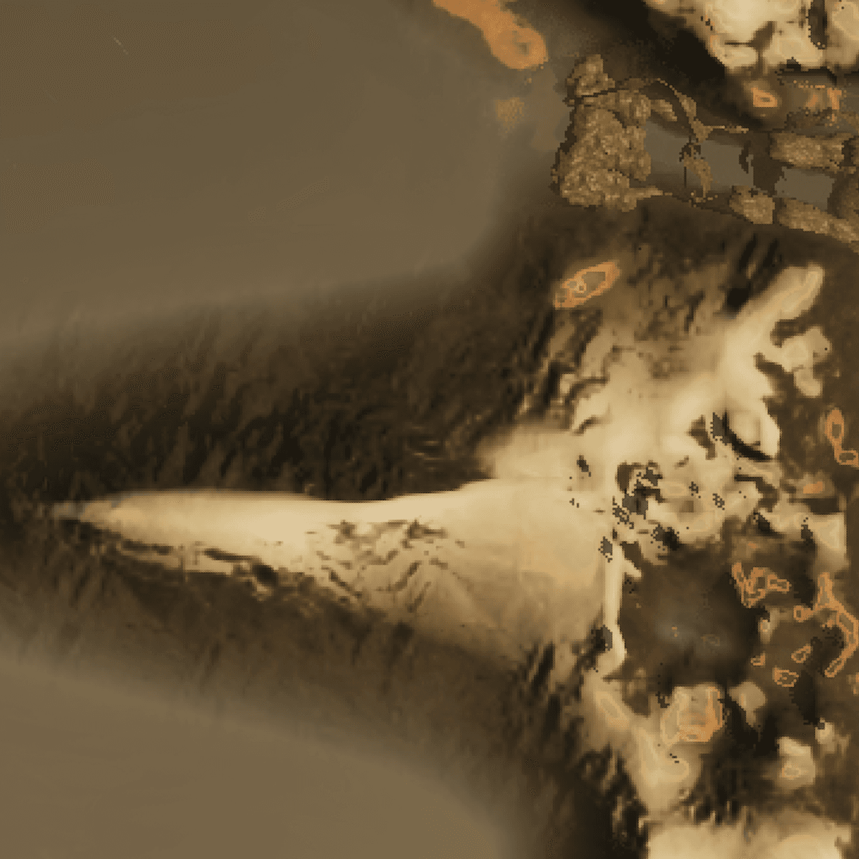 Satellite tile 5-4