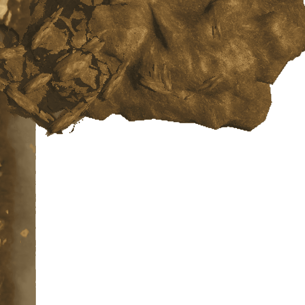 Satellite tile 5-5